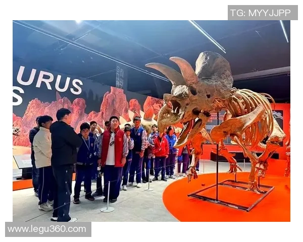 798艺术区足球场周边文化活动与艺术展览探索之旅